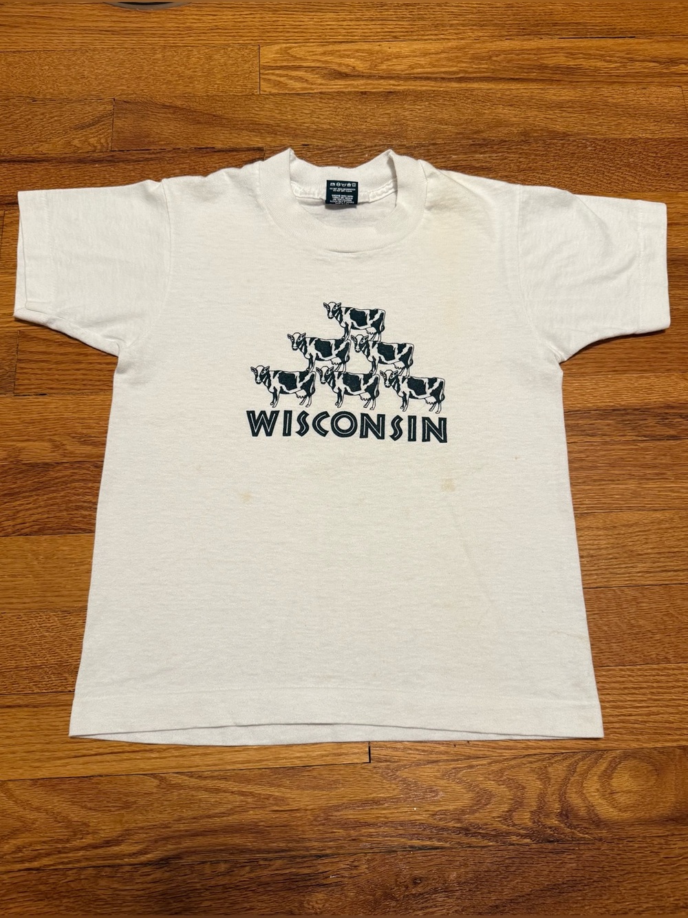 Wisconsin Vintage Cow T Shirt Youth 10/12 90s Animal Nature Retro